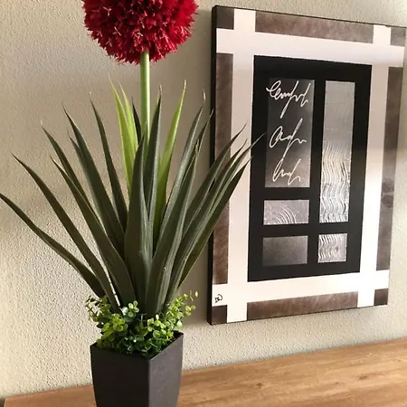 - Caballero De Rodas 173 Apartment